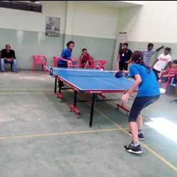 Table Tennis Court